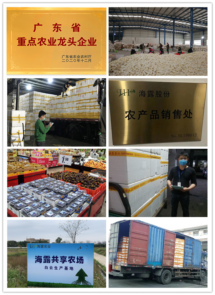 首页|尊龙人生就是博官网入口