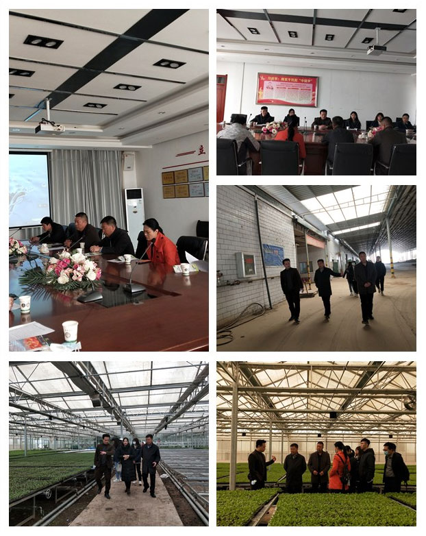 首页|尊龙人生就是博官网入口