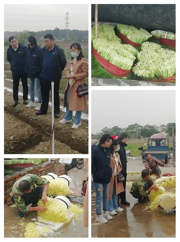 首页|尊龙人生就是博官网入口