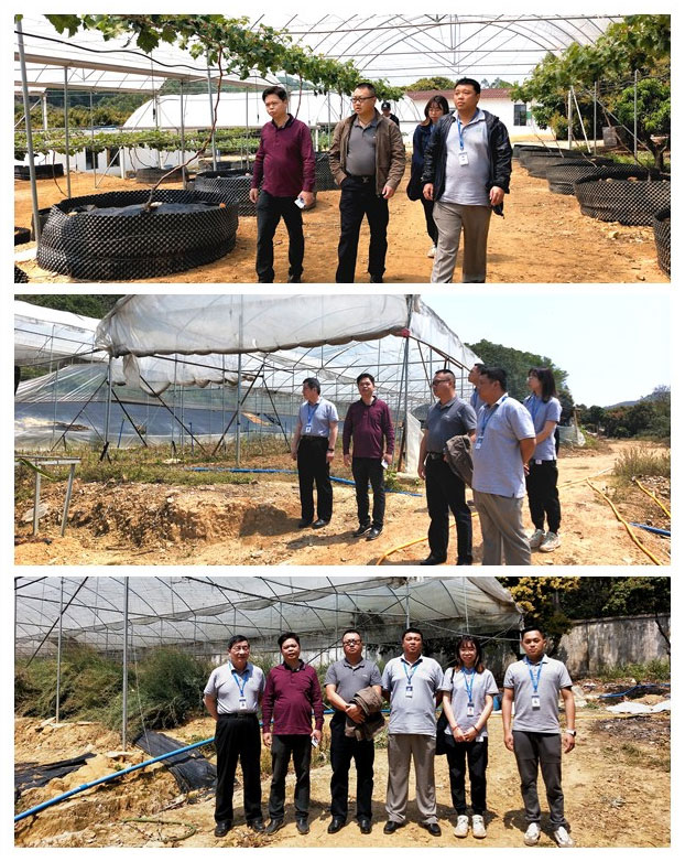 首页|尊龙人生就是博官网入口