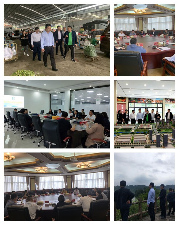 首页|尊龙人生就是博官网入口