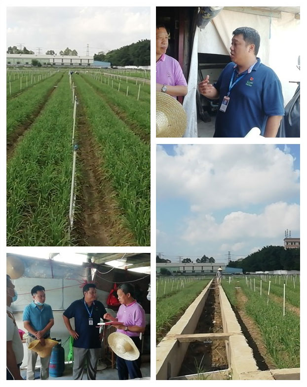 首页|尊龙人生就是博官网入口