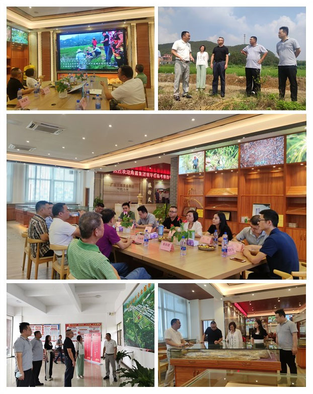 首页|尊龙人生就是博官网入口