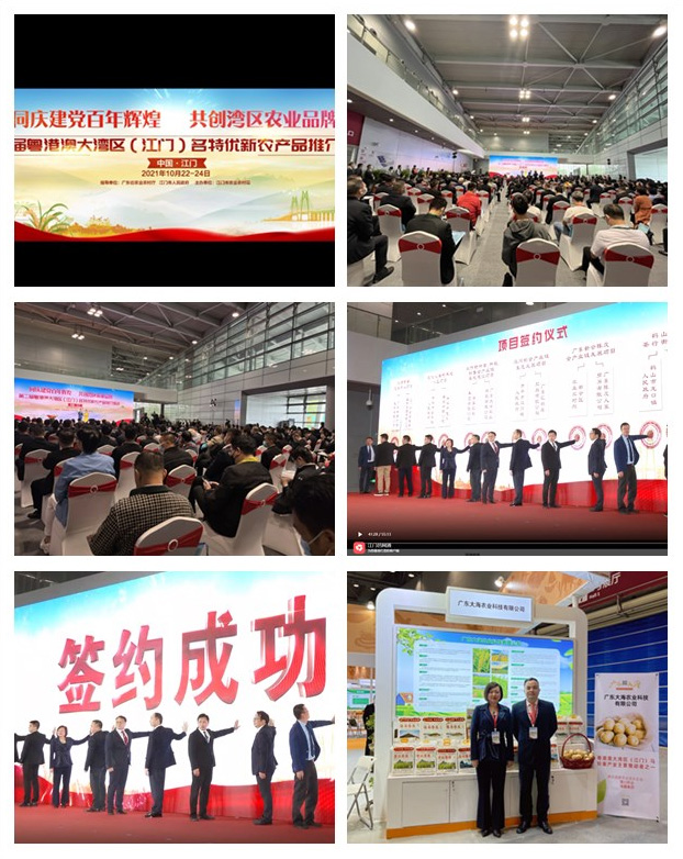 首页|尊龙人生就是博官网入口