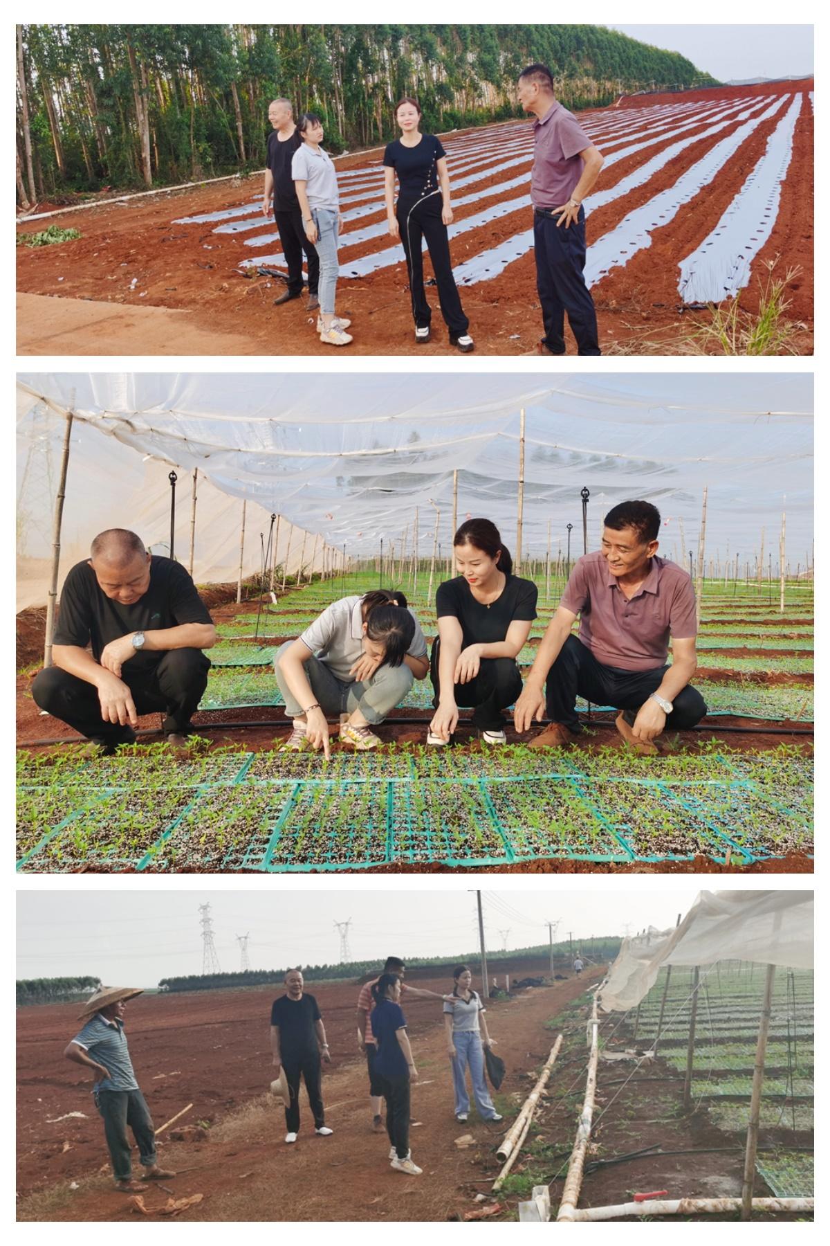 首页|尊龙人生就是博官网入口