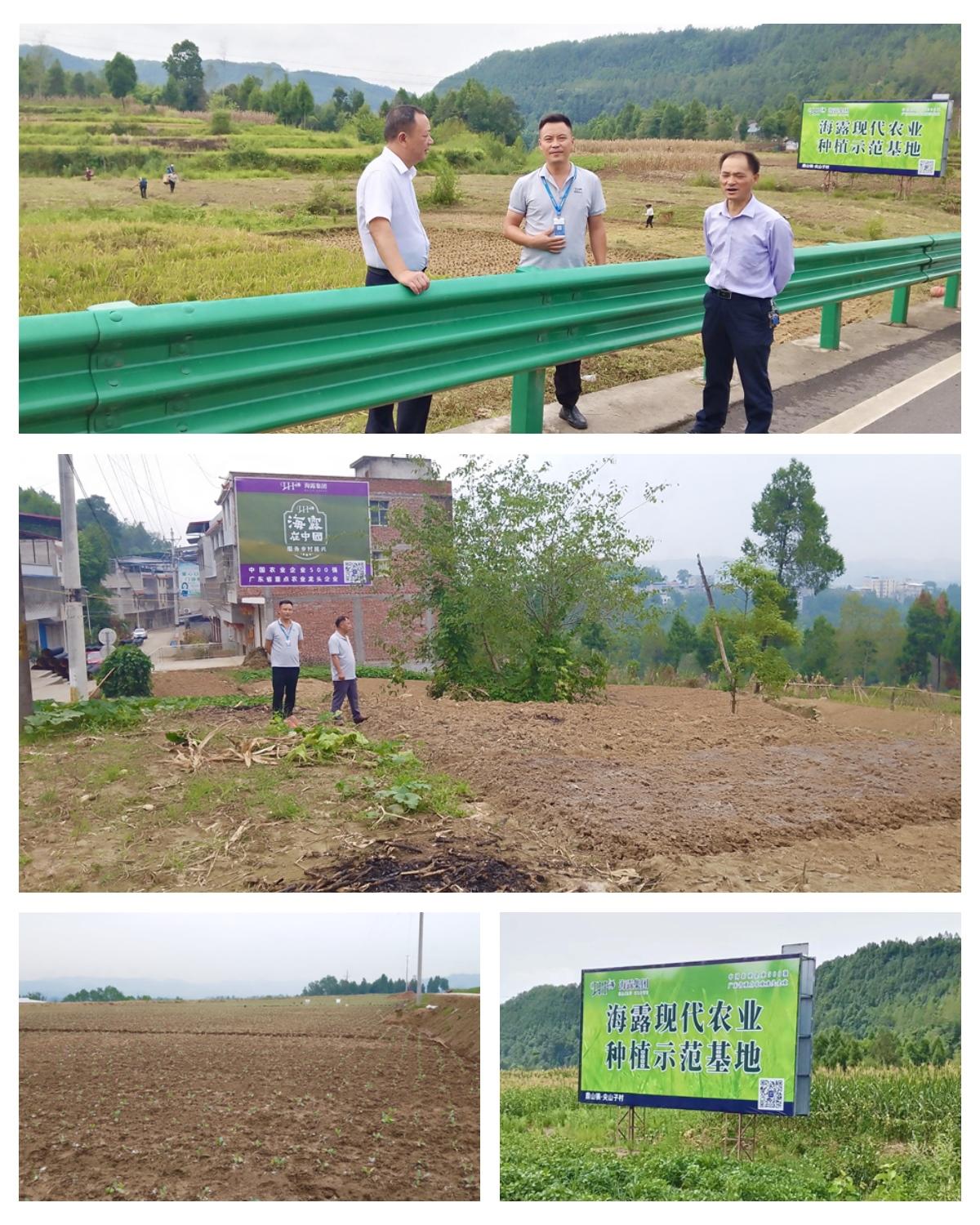 首页|尊龙人生就是博官网入口