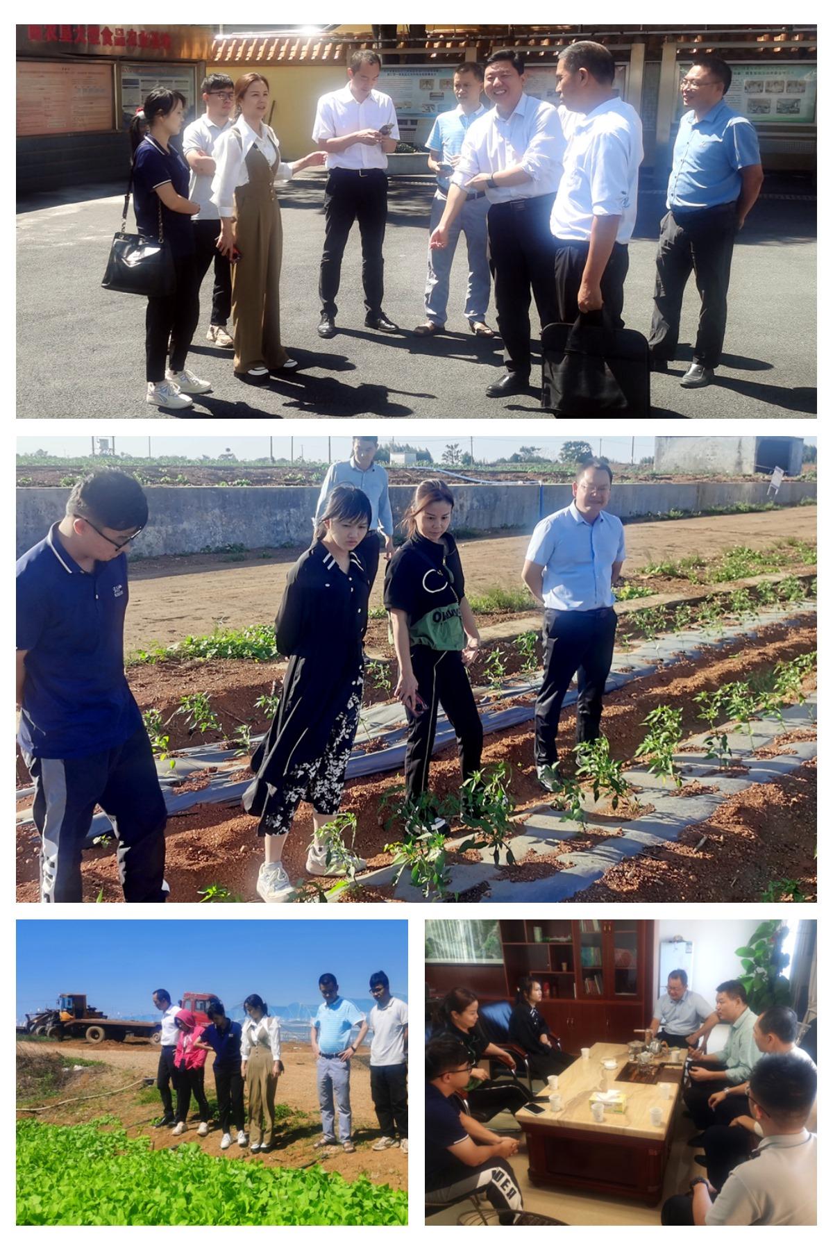 首页|尊龙人生就是博官网入口