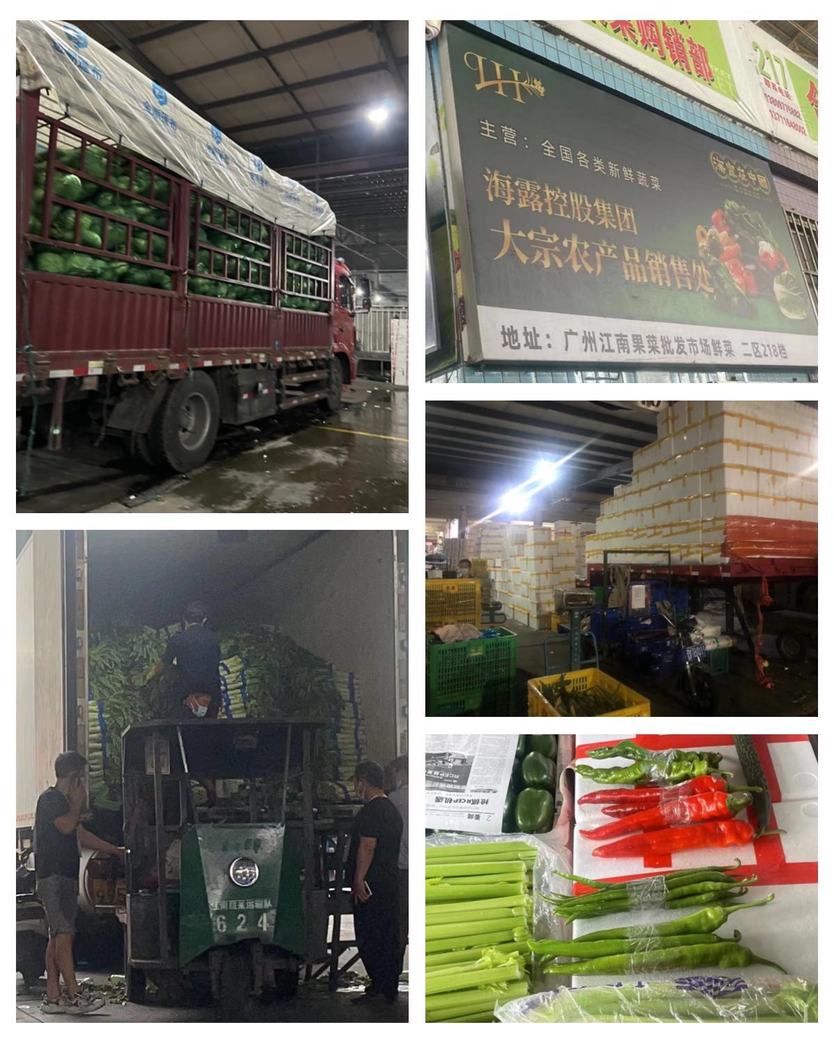 首页|尊龙人生就是博官网入口