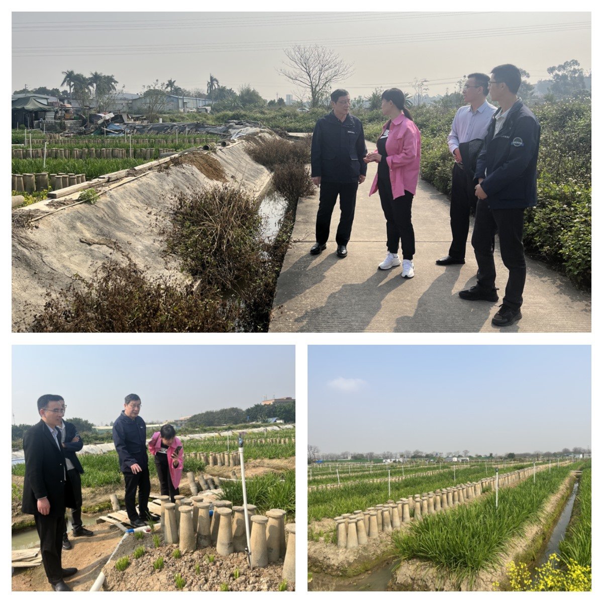 首页|尊龙人生就是博官网入口