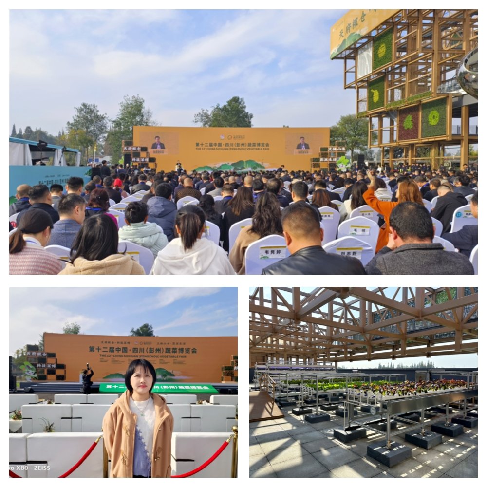 首页|尊龙人生就是博官网入口