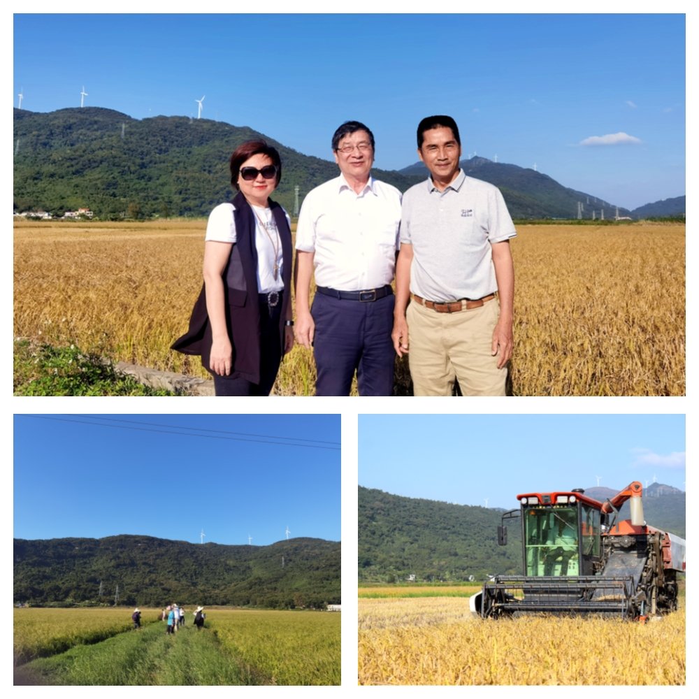 首页|尊龙人生就是博官网入口