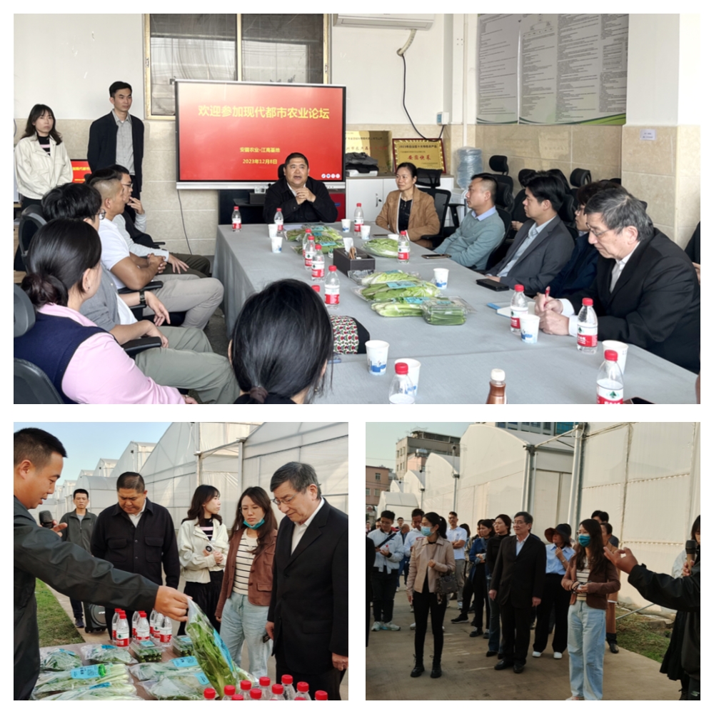 首页|尊龙人生就是博官网入口