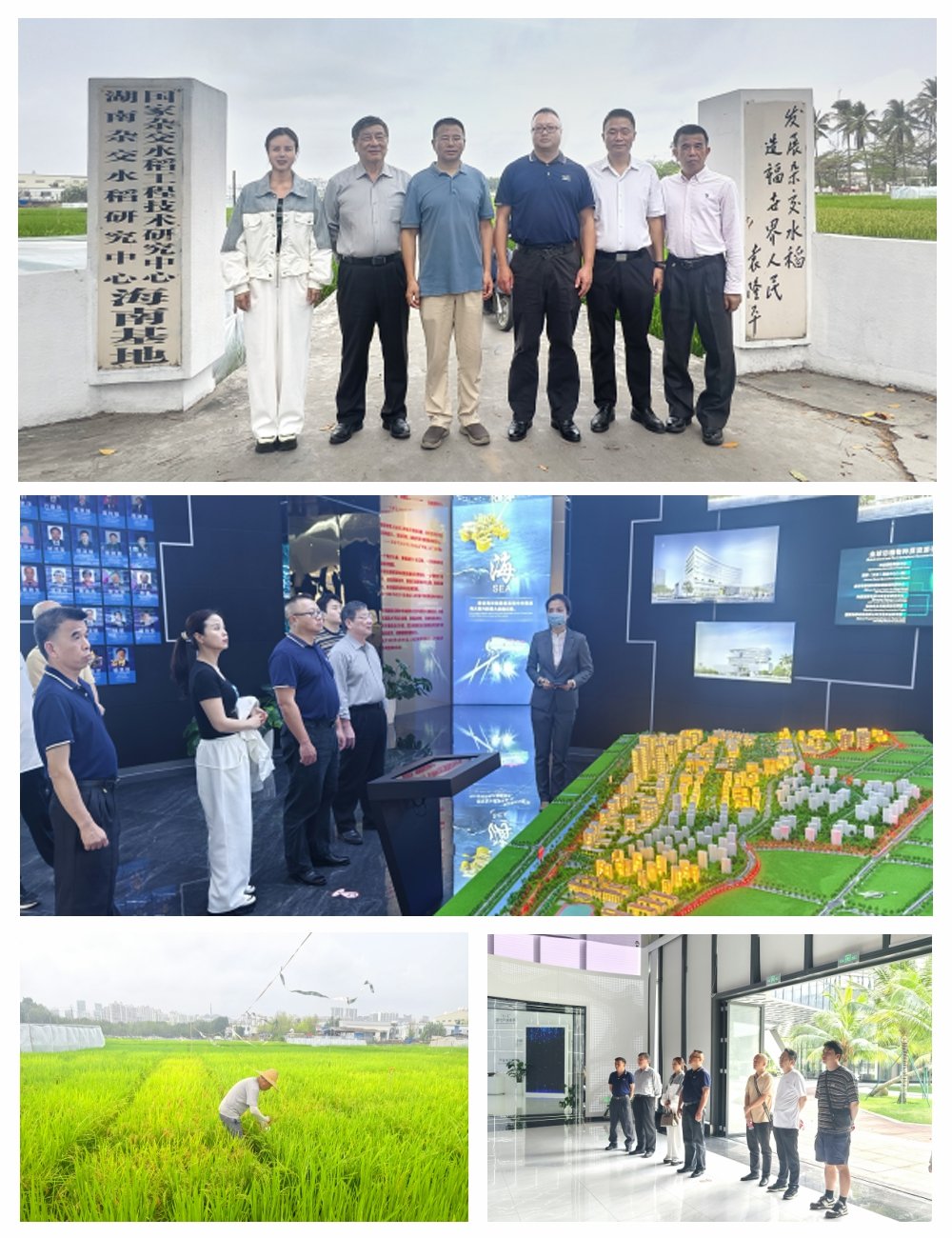 首页|尊龙人生就是博官网入口