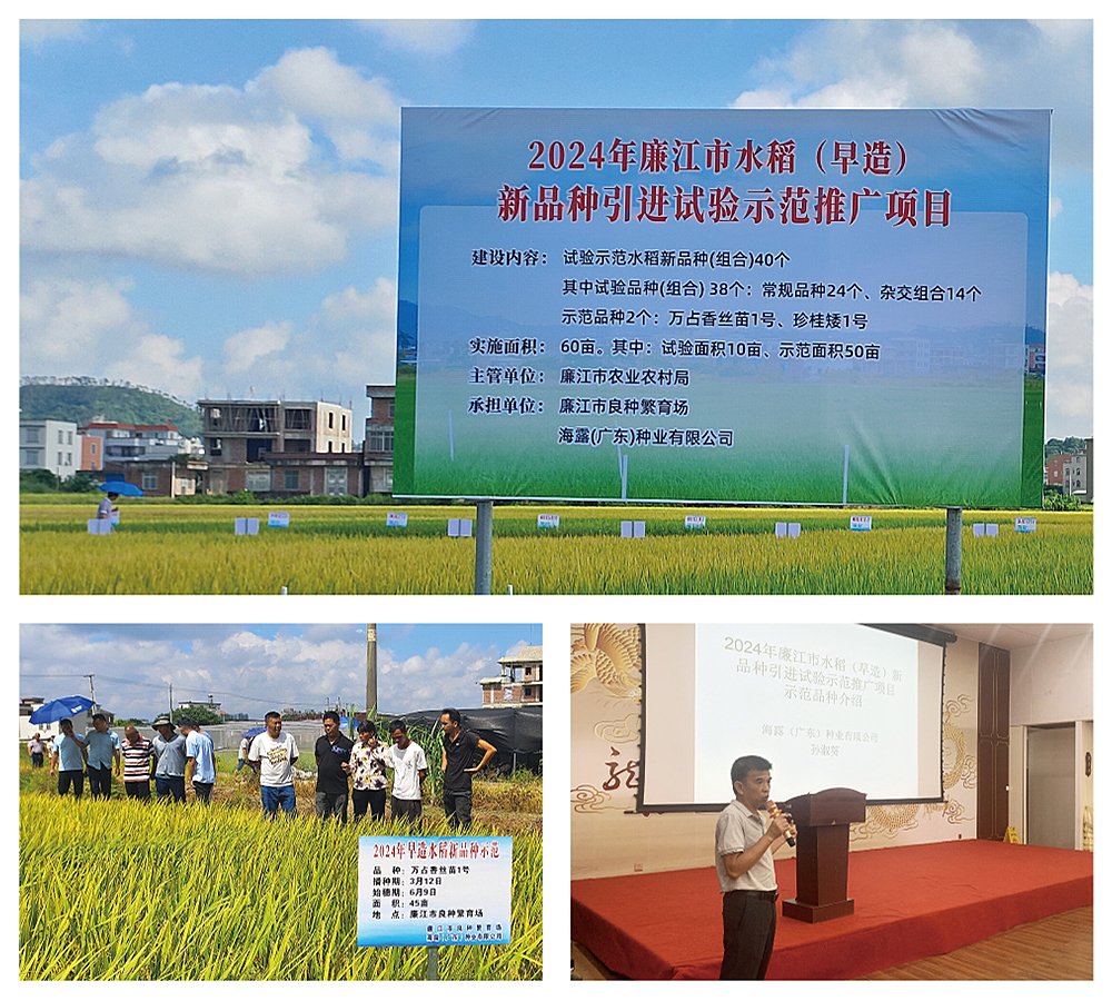 首页|尊龙人生就是博官网入口