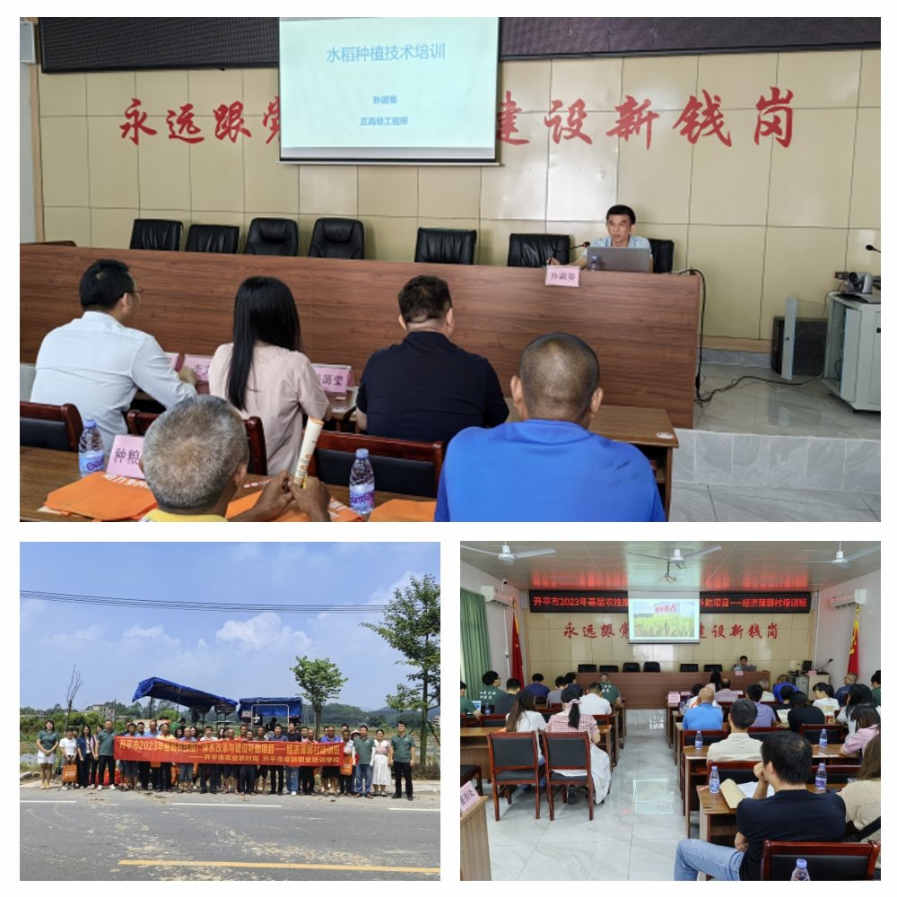 首页|尊龙人生就是博官网入口