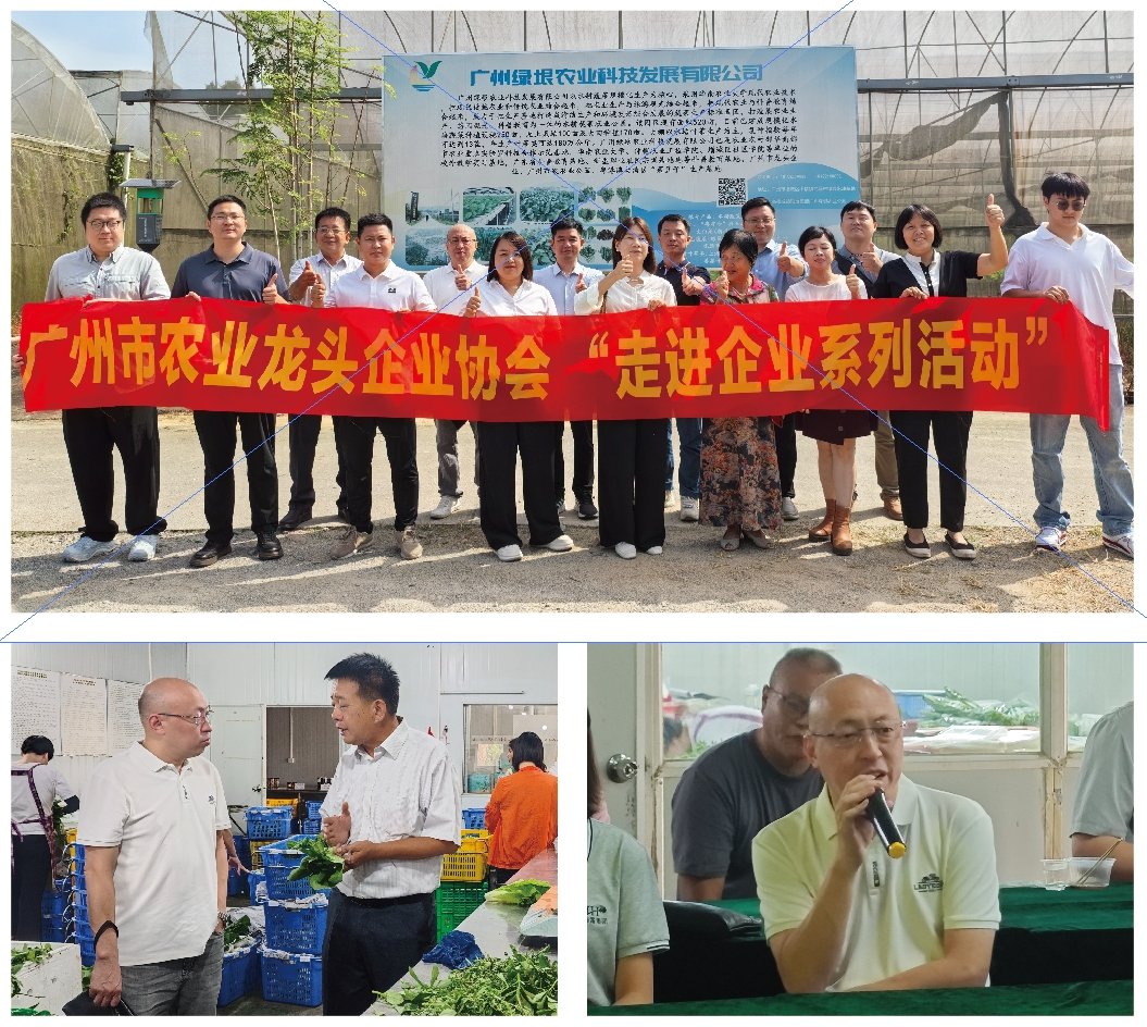 首页|尊龙人生就是博官网入口