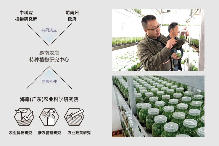 首页|尊龙人生就是博官网入口