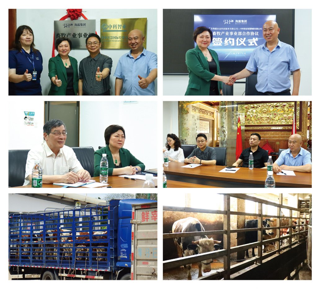 首页|尊龙人生就是博官网入口