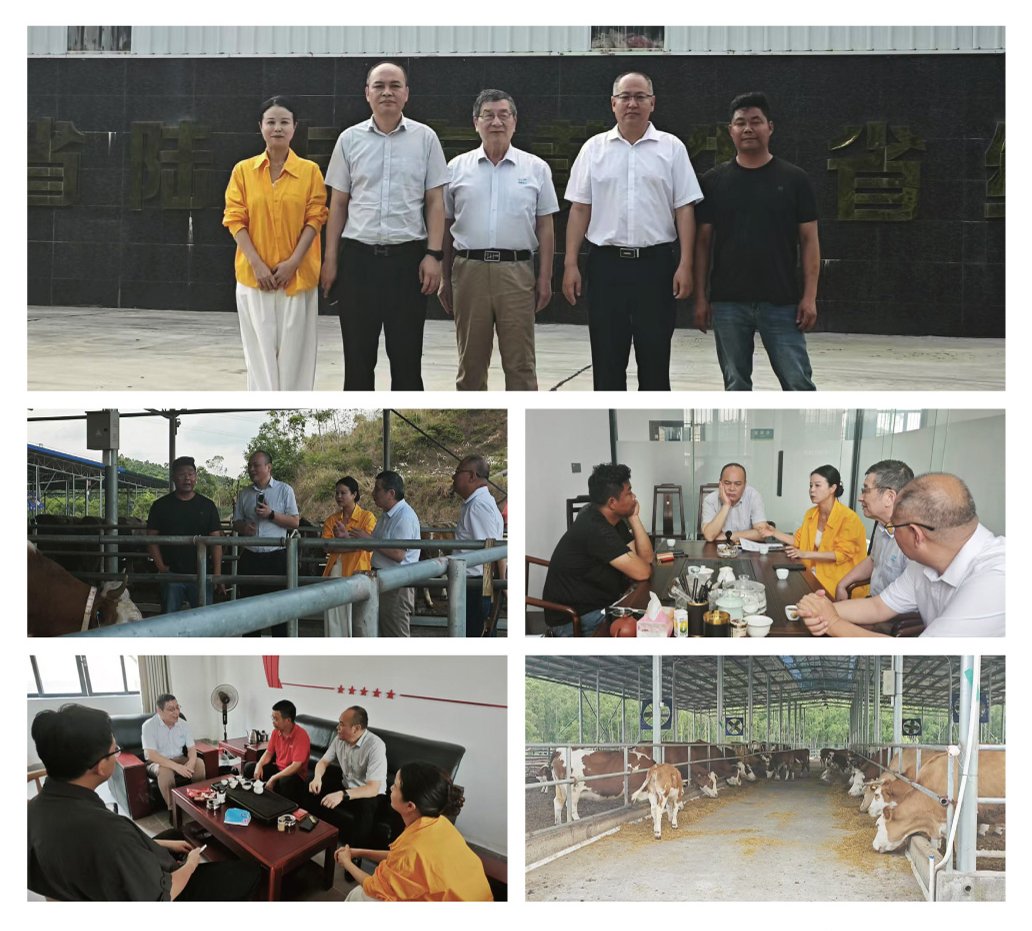 首页|尊龙人生就是博官网入口