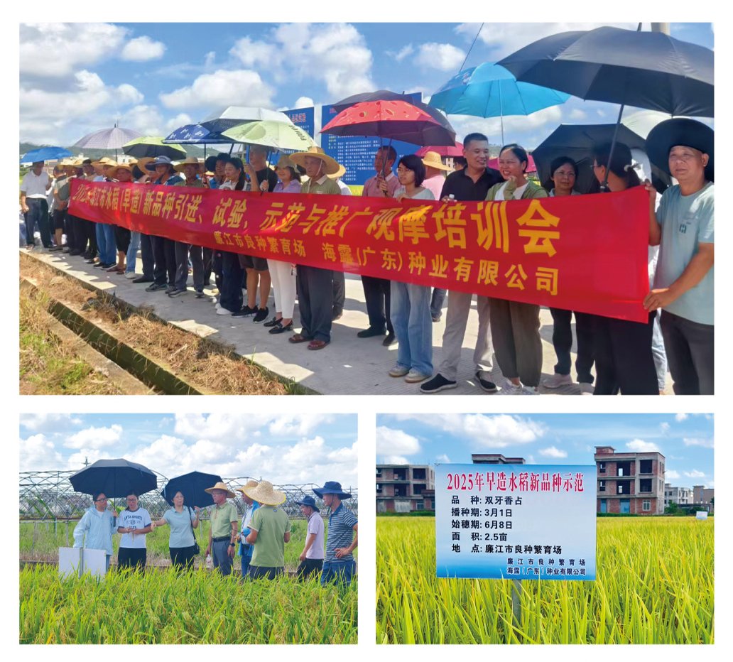 首页|尊龙人生就是博官网入口