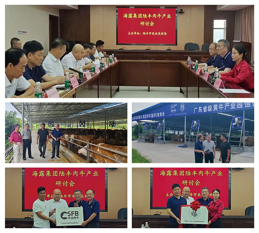 首页|尊龙人生就是博官网入口