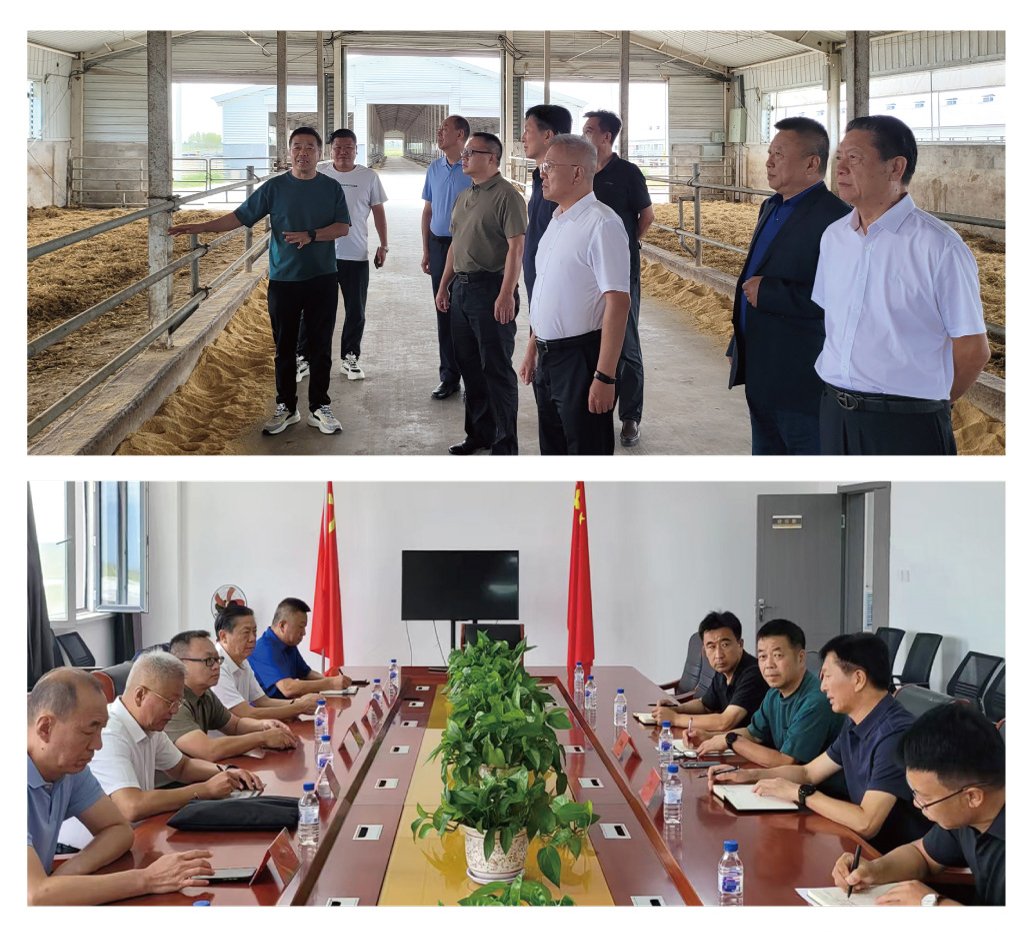 首页|尊龙人生就是博官网入口