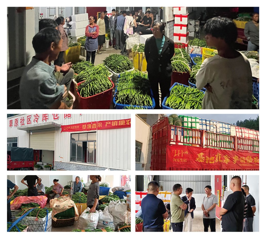 首页|尊龙人生就是博官网入口