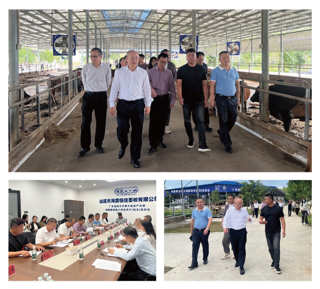 首页|尊龙人生就是博官网入口